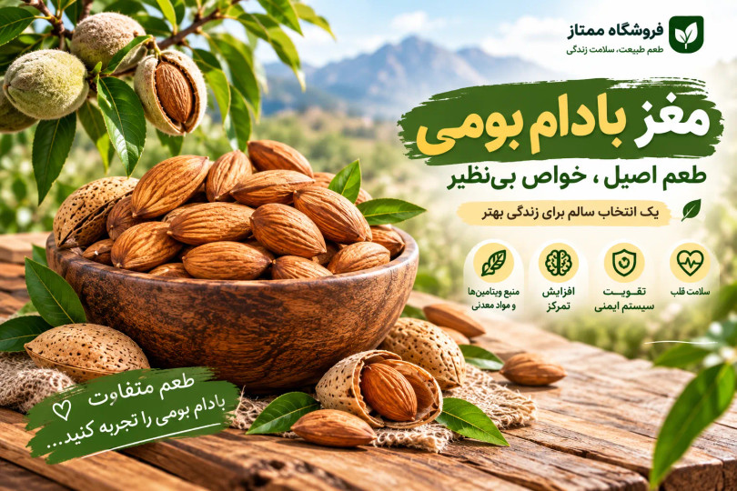 بادام بومی؛ طعم اصیل طبیعت و گنجینهای از خواص