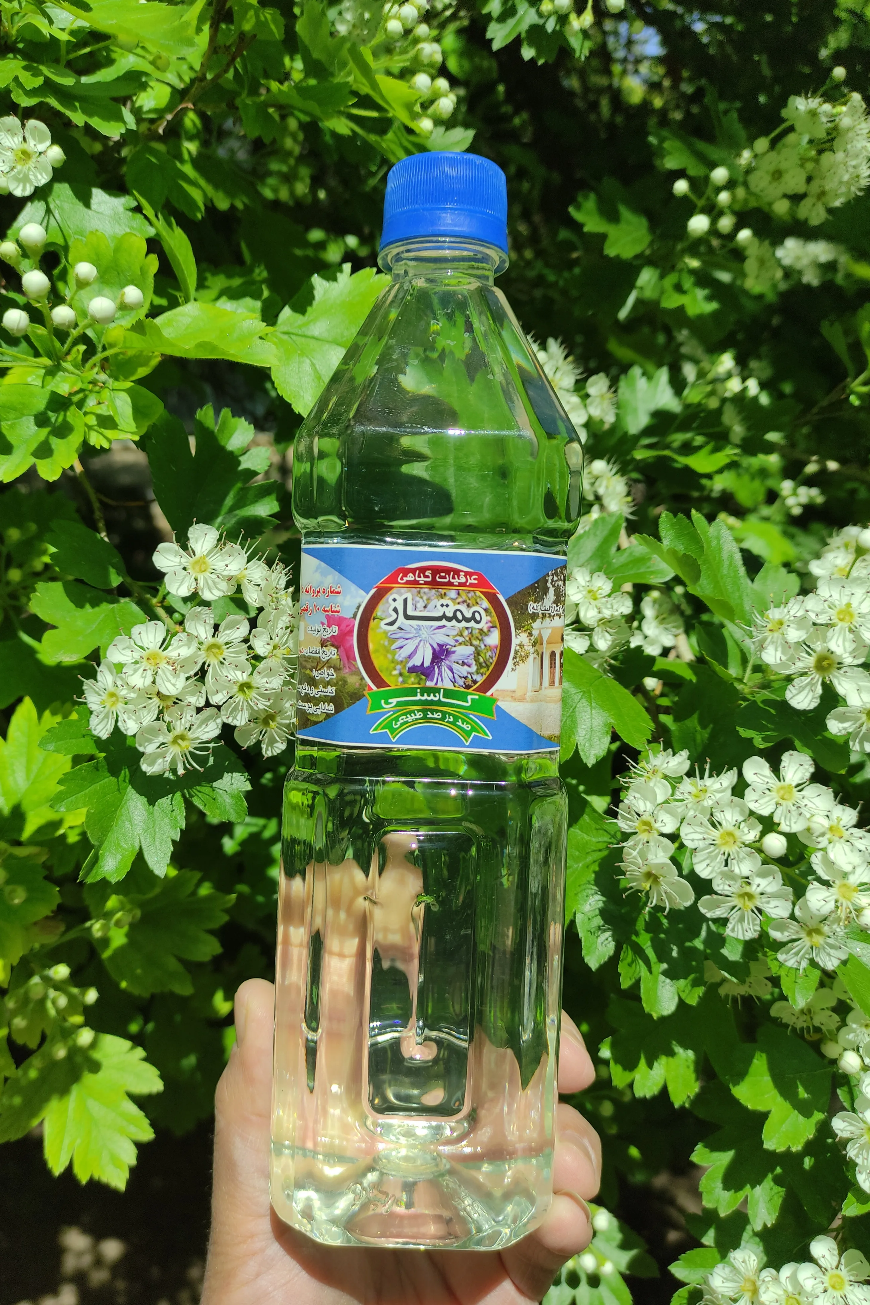 عرق کاسنی ممتاز