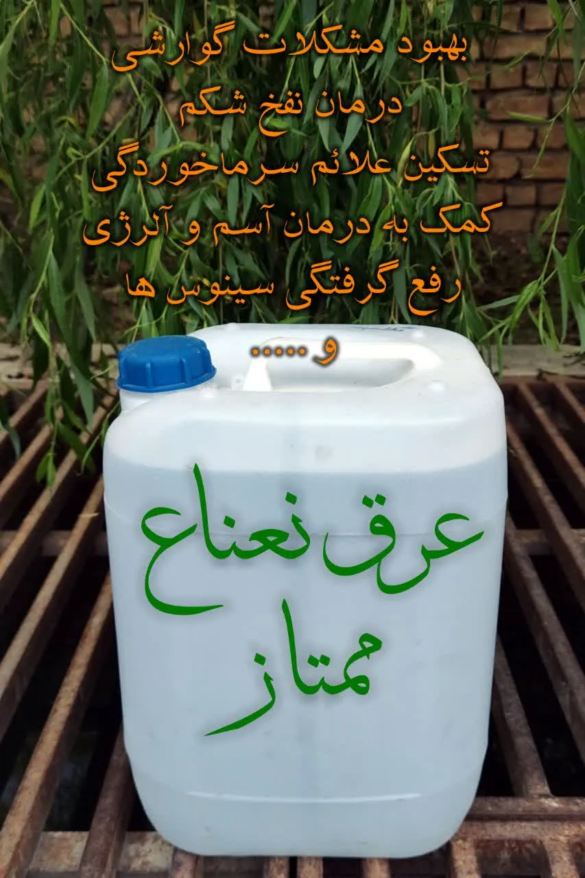 عرق نعنا ممتاز ۲۰ لیتری | برند ممتاز با بیش از ۵۰ سال سابقه تولید