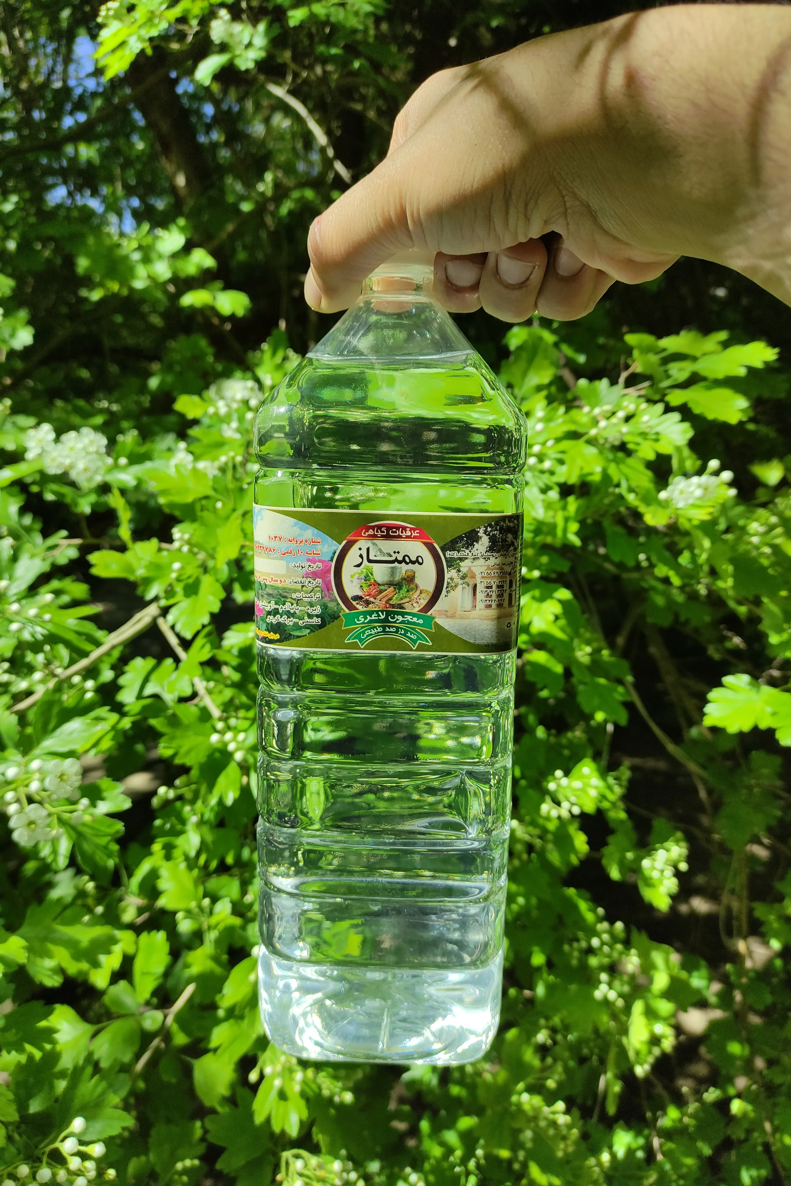 معجون گیاهی لاغری ممتاز؛ میان‌برِ رسیدن به اندامِ ایده‌آل (کاملاً طبیعی)