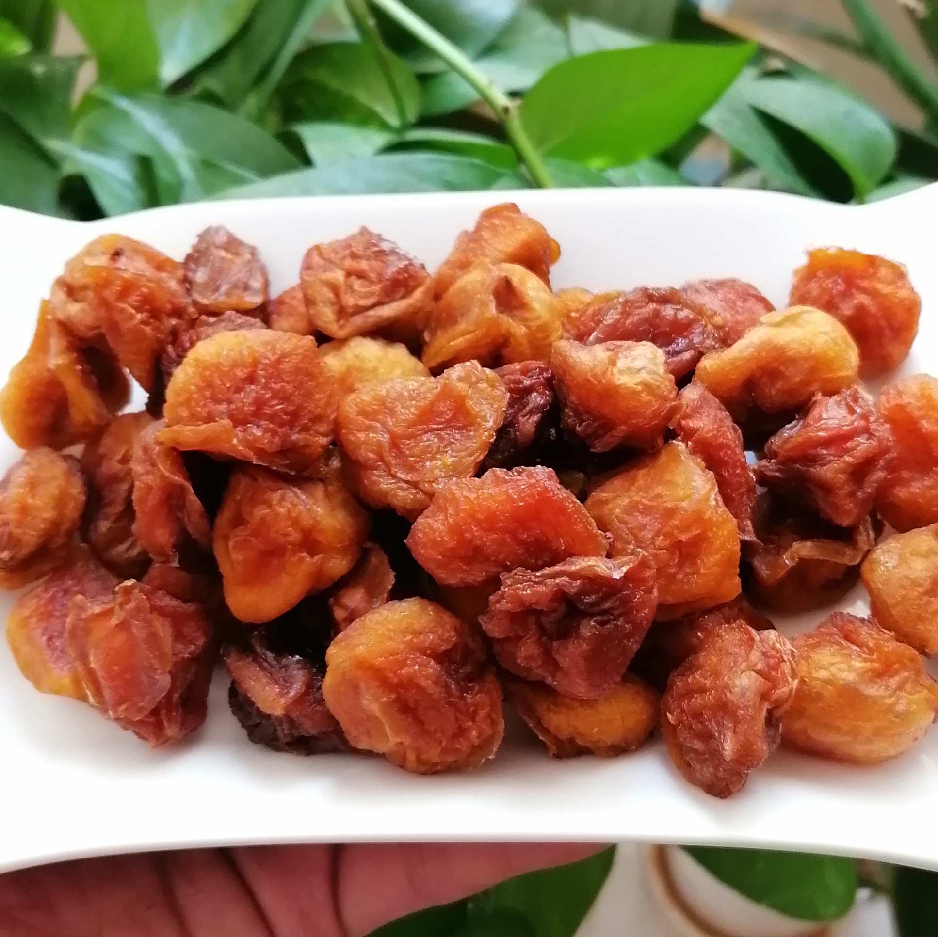 آلو بخارا بومی خانگی